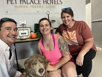 Pet Palace